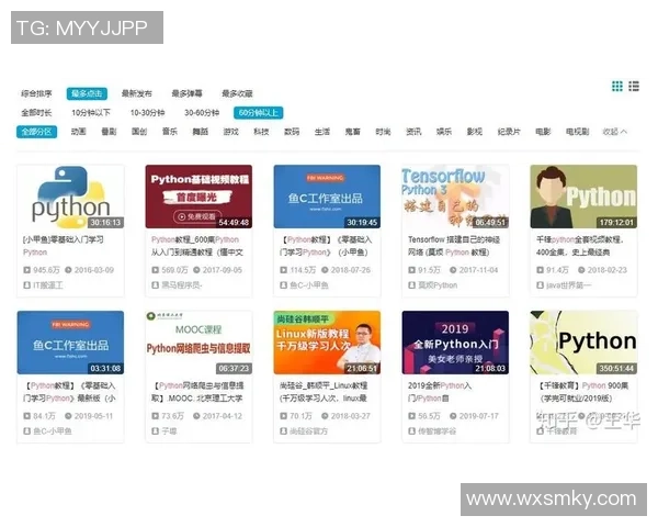 弹幕文化与战术分析：熊猫体育社区球迷深度互动的生态探讨