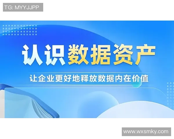 精准投资策略探讨：快盈VIII数据如何提升决策效率与准确性
